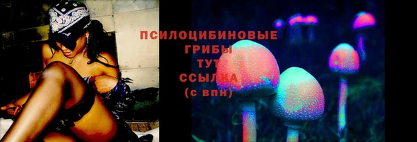 дурь Лысьва