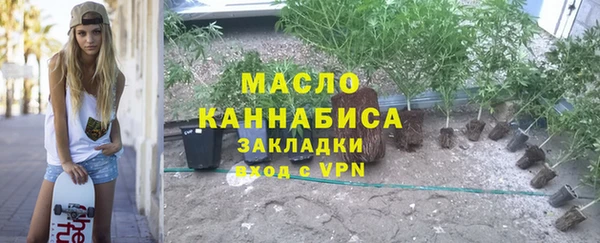 сатива Гусь-Хрустальный