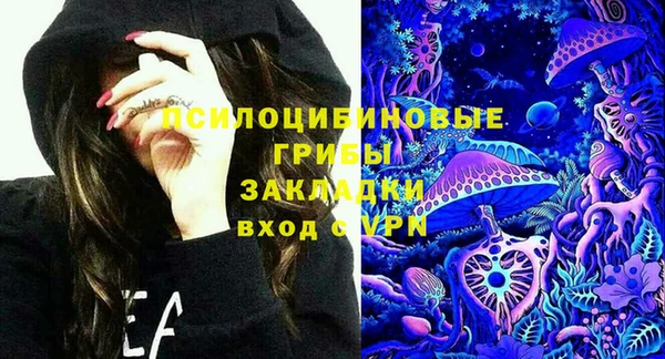 ГАЛЛЮЦИНОГЕННЫЕ ГРИБЫ Нефтекумск