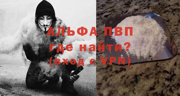 сатива Гусь-Хрустальный