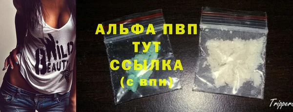Альфа ПВП Гусев